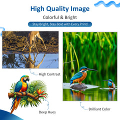 Universal Dye Ink Refill Bottle 500mL - 6 Color Set