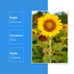 CISinks GI-290 Refill Ink Bottle Set Replacement for PIXMA G4200 G4210 G3200 1200 2200 + Refill Tool Kit Blunt Injectors