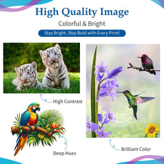 CMYK Ink Compatible for Brother LC406 LC101 LC103 LC201 LC203 LC3011 LC3013 LC3037 LC401 4x500mL Bottle Set, Compatible for DCP-J152W MFC-J245 MFC-J285DW MFC-J450DW MFC-J470DW MFC-J475DW MFC-J650DW MFC-J870DW MFC-J875DW MFC-J4310DW MFC-J4410DW MFC-J4510DW