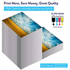 CISinks GI-290 Refill Ink Bottle Set Replacement for PIXMA G4200 G4210 G3200 1200 2200 + Refill Tool Kit Blunt Injectors