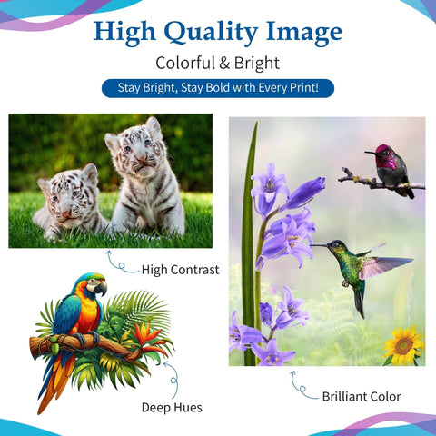 CMYK Ink Compatible for Epson 502 522 542 664 4x100mL Bottle Set, Compatible for EcoTank EcoTank Pro Expression EcoTank WorkForce EcoTank WorkForce Supertank WorkForce Pro WorkForce