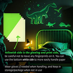 CISinks Rechargeable Glow In The Dark Photoluminescent Luminous Printing Paper for Inkjet Printers (5 sheets)