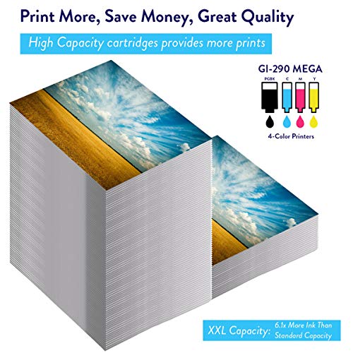 CISinks GI-290 Refill Ink Bottle Set Replacement for PIXMA G4200 G4210 G3200 1200 2200 + Refill Tool Kit Blunt Injectors